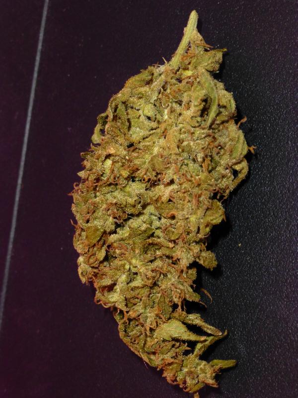 cured nugget of White Widow