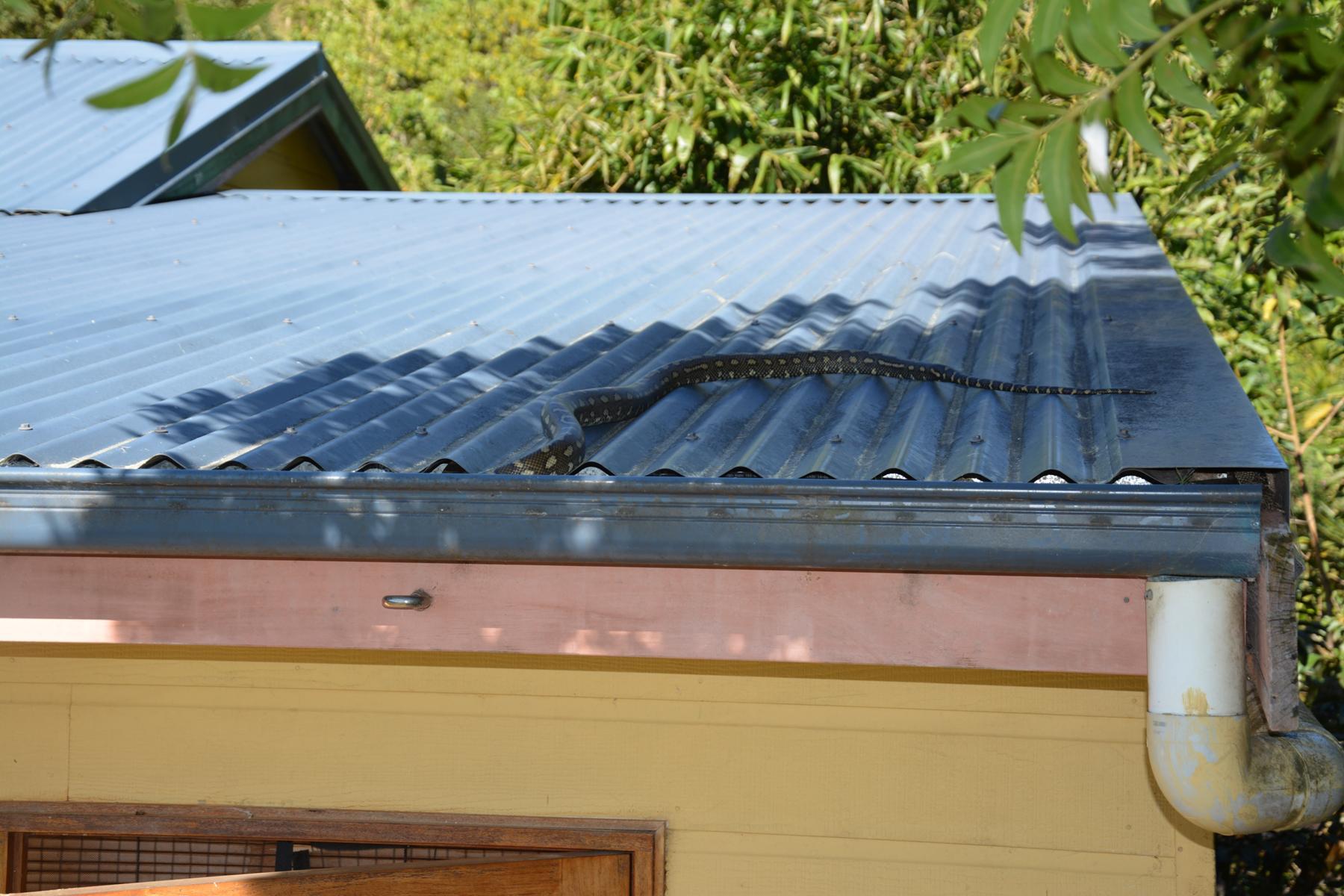 AutoUltimate heavy harvest