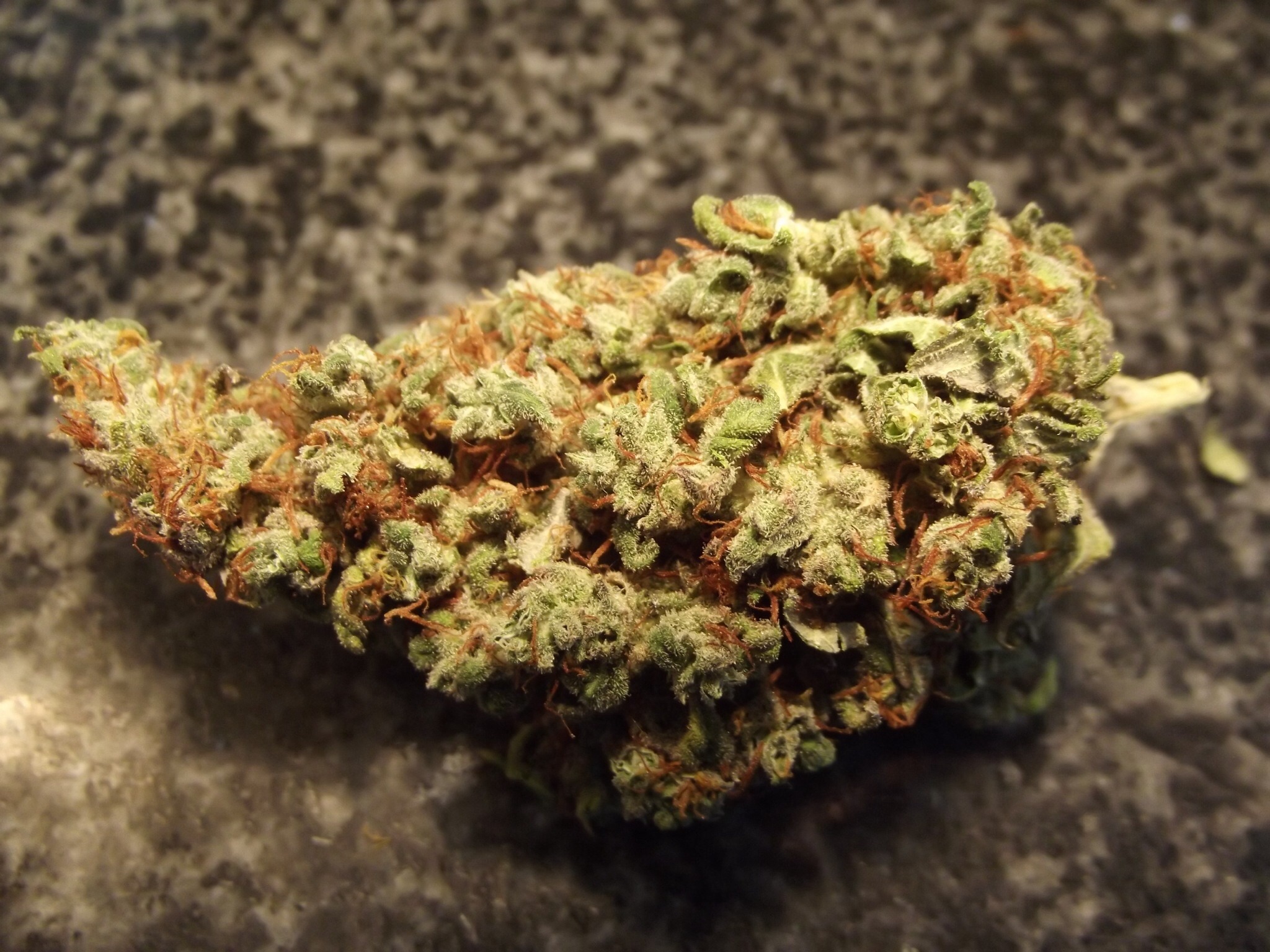 a cured nugget of orange hill special