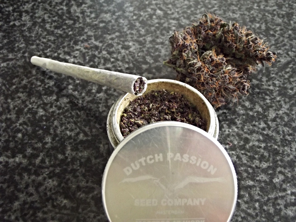 AutoEuforia cannabis review 