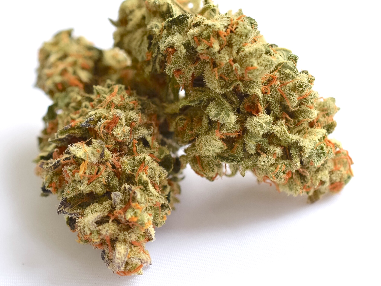 AutoColorado Cookies