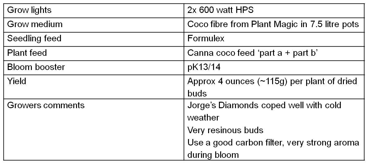 Summary table dutch passion