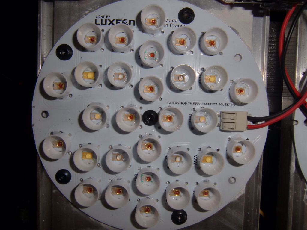 luxeon rebel LED image