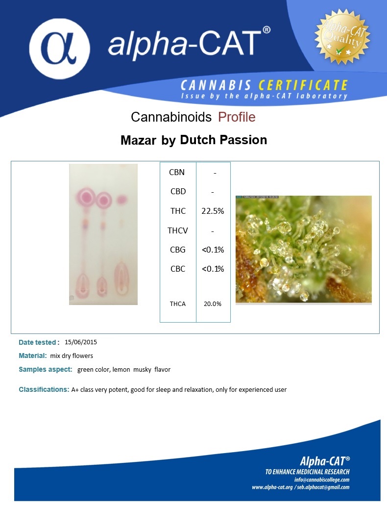 Mazar analysis Dutch Passion