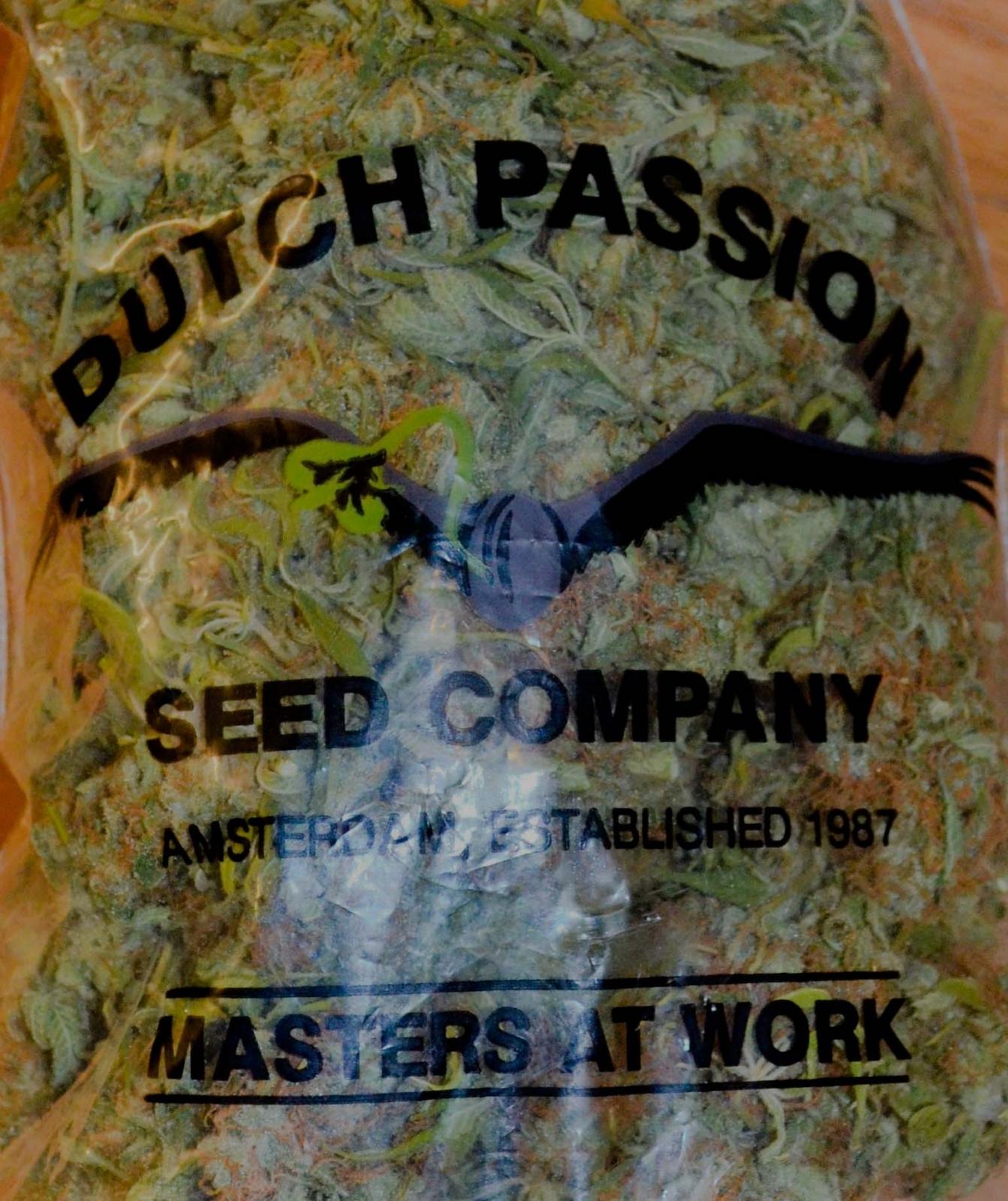 Bag of pot dutch passion
