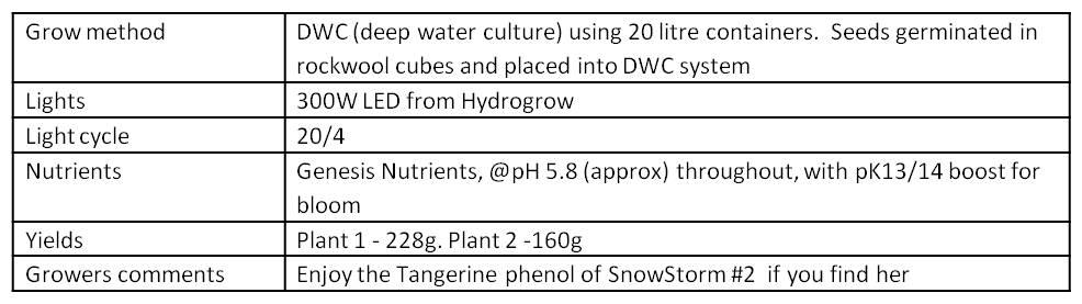 Data table SnowStorm