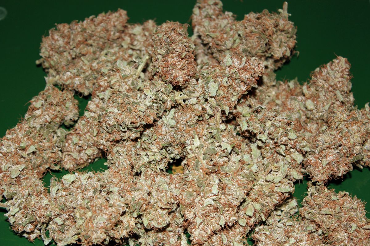 Think Different cannabis review