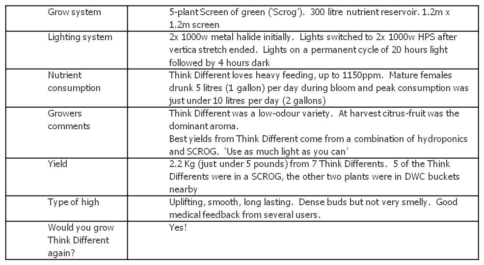 Summary table of grow conditions Dutch Passion Think Different