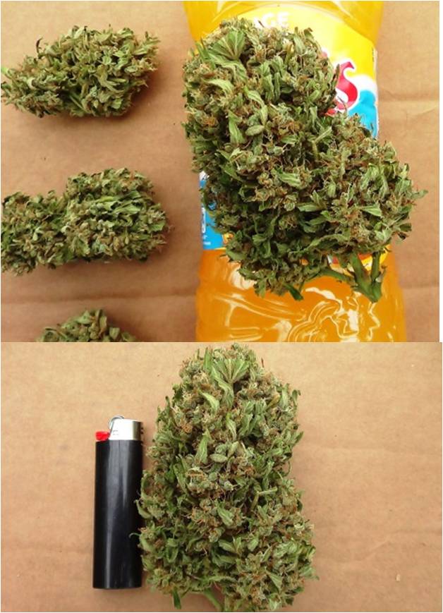 more delicious nuggets of very potent think different