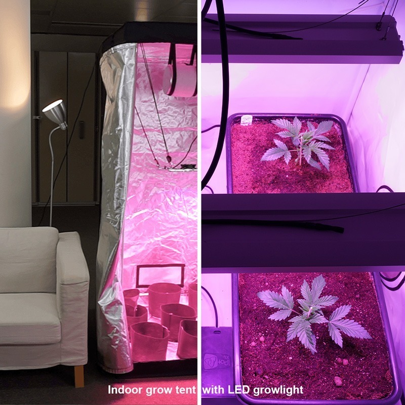 Indoor grow tent with LED light