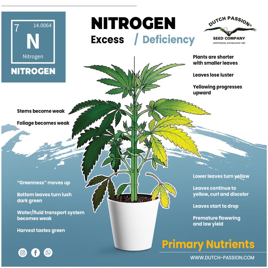 Many veg nutrients contain a higher ratio of Nitrogen in their N:P:K ratios.