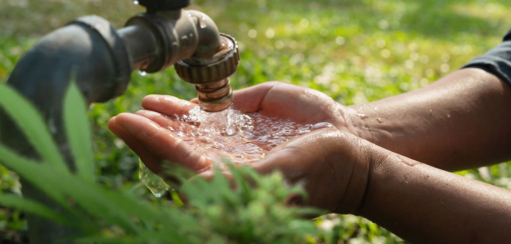 Using tap water to water your cannabis plants