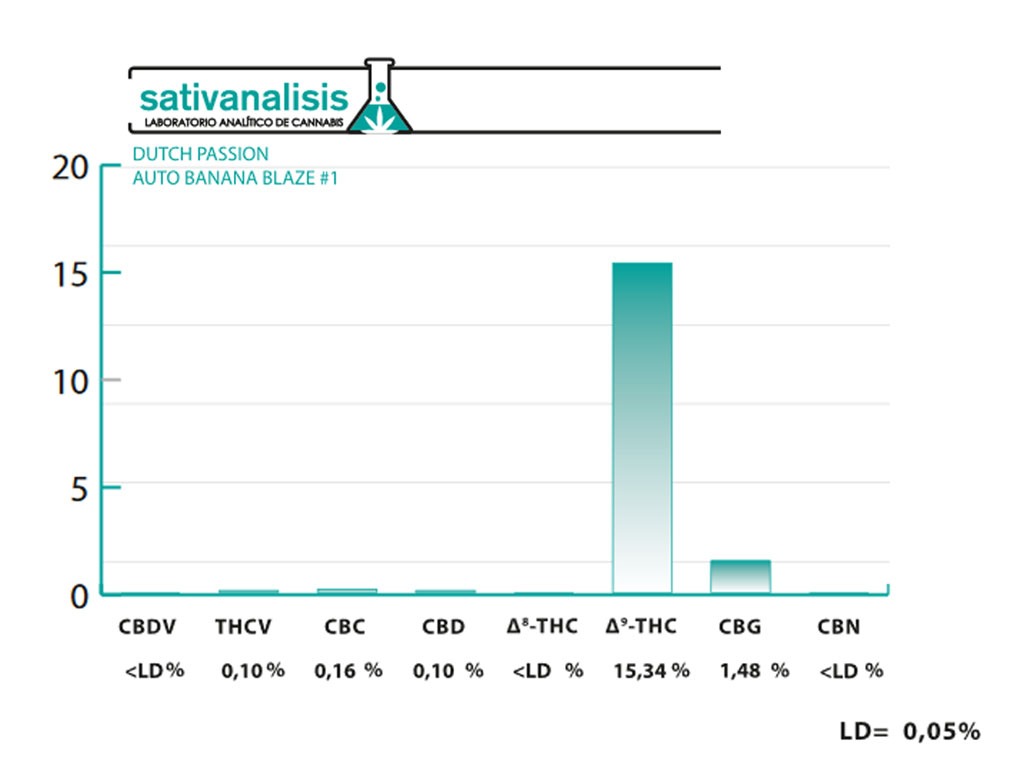 Auto Banana Blaze grow in cold conditions lab test results (over 15% THC)