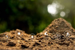 Best soil for growing autoflower cannabis plants