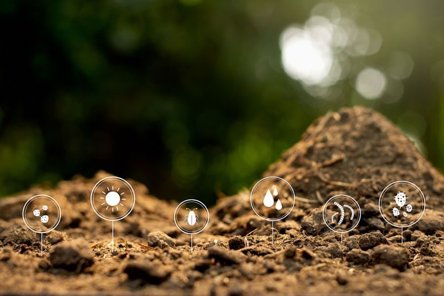 Best soil for growing autoflower cannabis plants