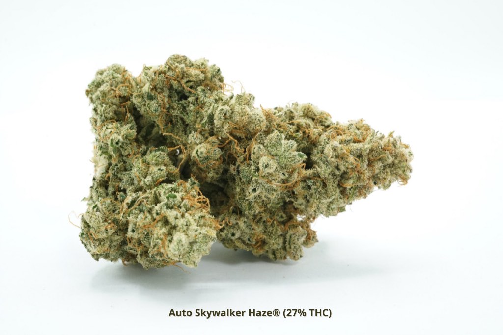auto skywalker haze frosty bud 27 percent thc