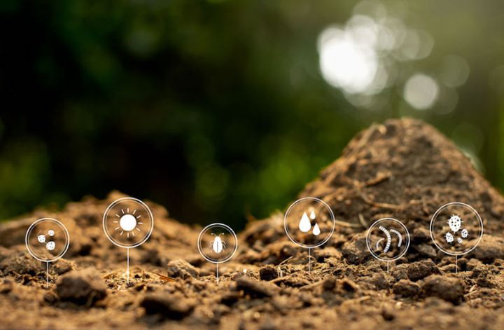 Guerilla growing Tip 3: Prepare the soil of your grow spot