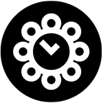 Feminised cannabis flowering time