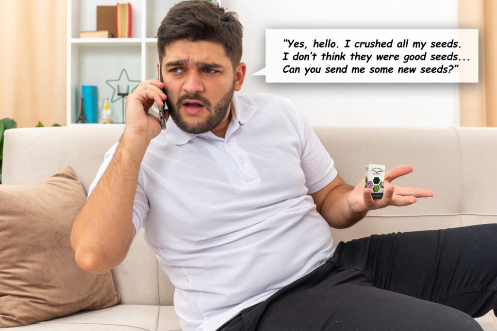 Pinching, squeezing or scarifying cannabis seeds