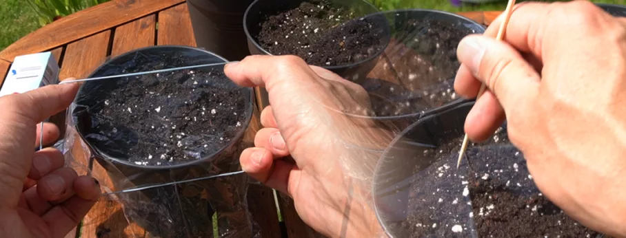 put some film over your pots and poke some holes