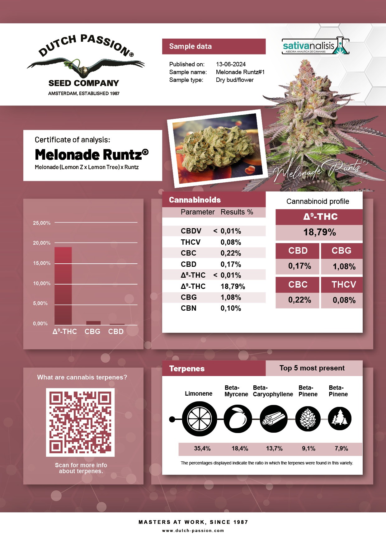 Melonade Runtz cannabinoid and terpene lab-test analysis