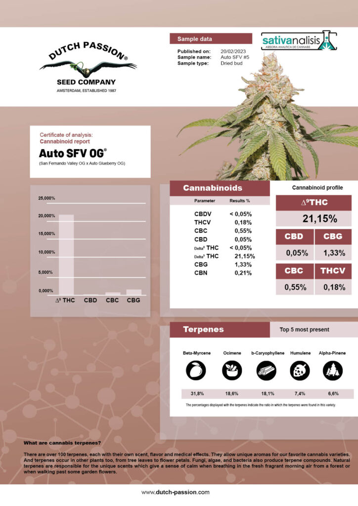 Auto SFV OG independent cannabinoid lab-test results